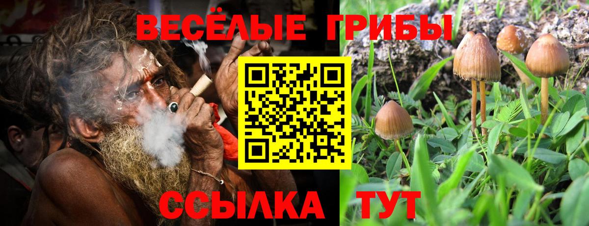 Псилоцибиновые грибы GOLDEN TEACHER Городец