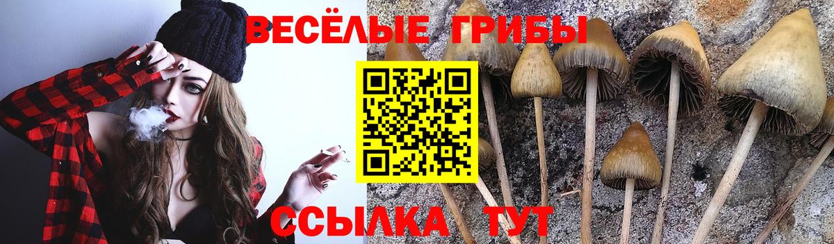 Псилоцибиновые грибы ЛСД  сколько стоит  Городец  Вход с VPN 